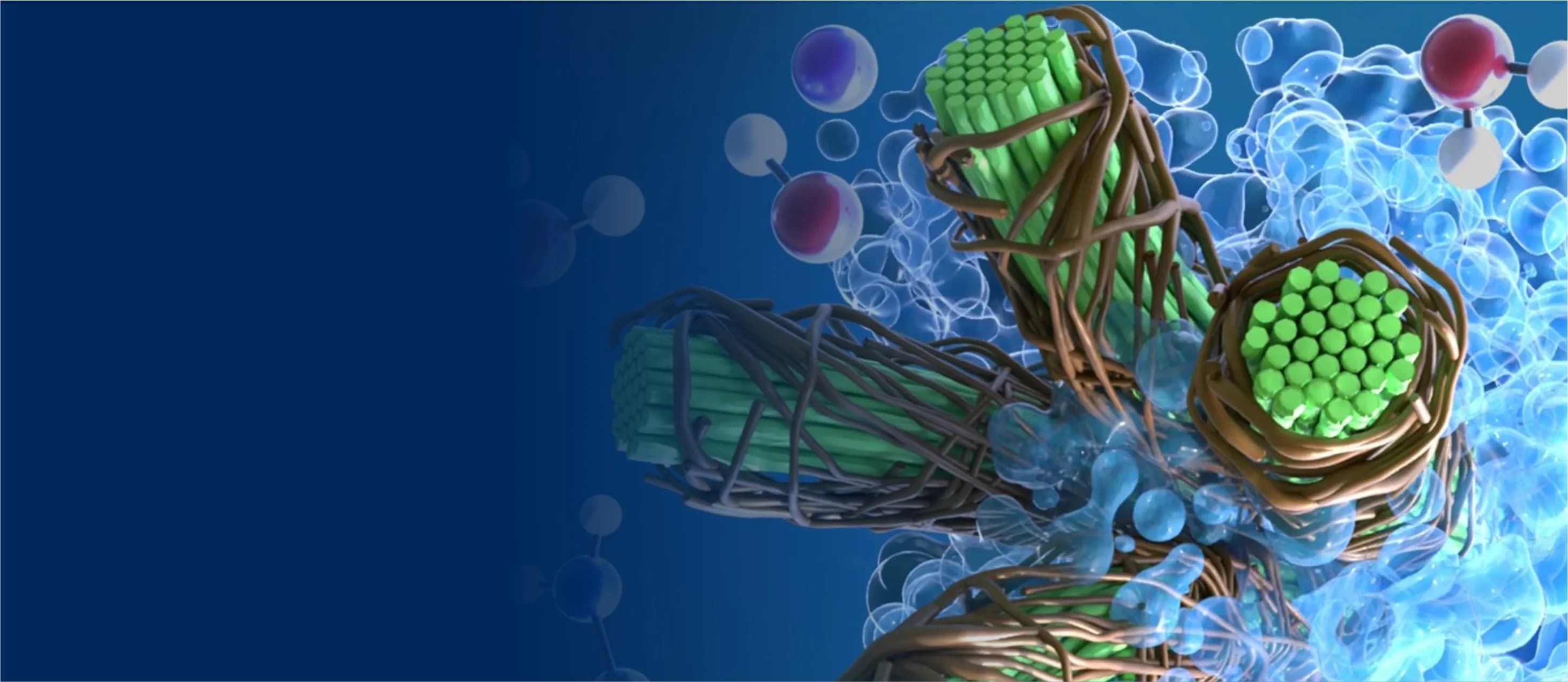 Biomaterials